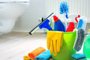 Messie Reinigung Ulm